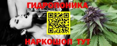 бошки Заводоуковск