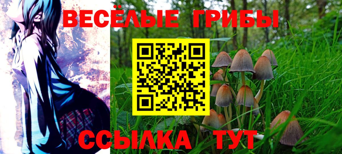 Псилоцибиновые грибы прущие грибы  Вход с VPN  Киселёвск  Псилоцибиновые грибы ЛСД 