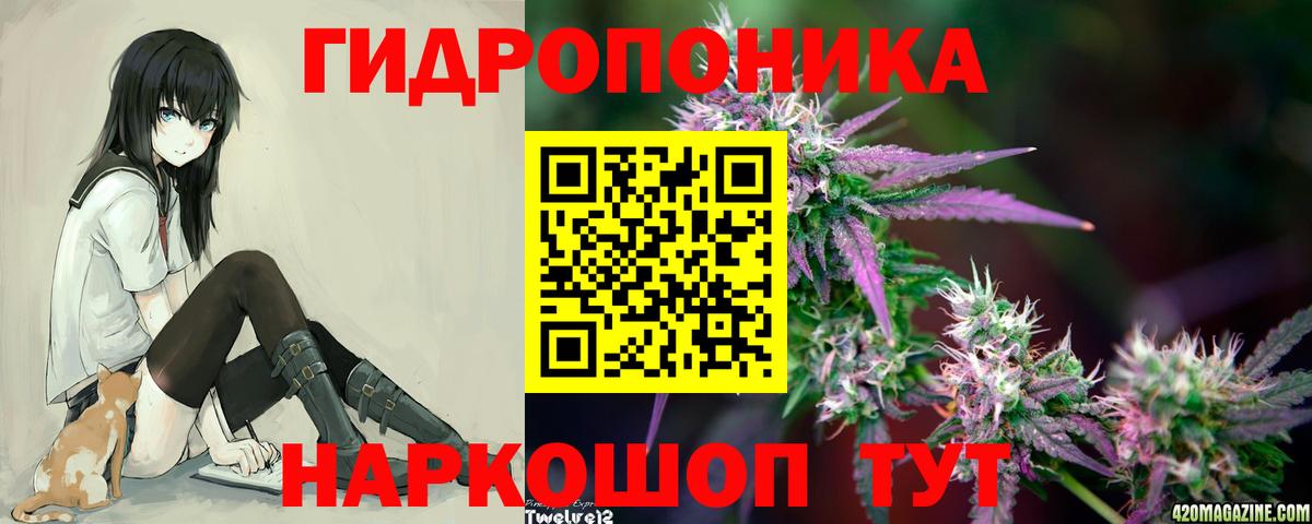 Киселёвск  Марихуана конопля  Шишки марихуана OG Kush  Каннабис Bruce Banner  Вход с VPN  Конопля тримм 